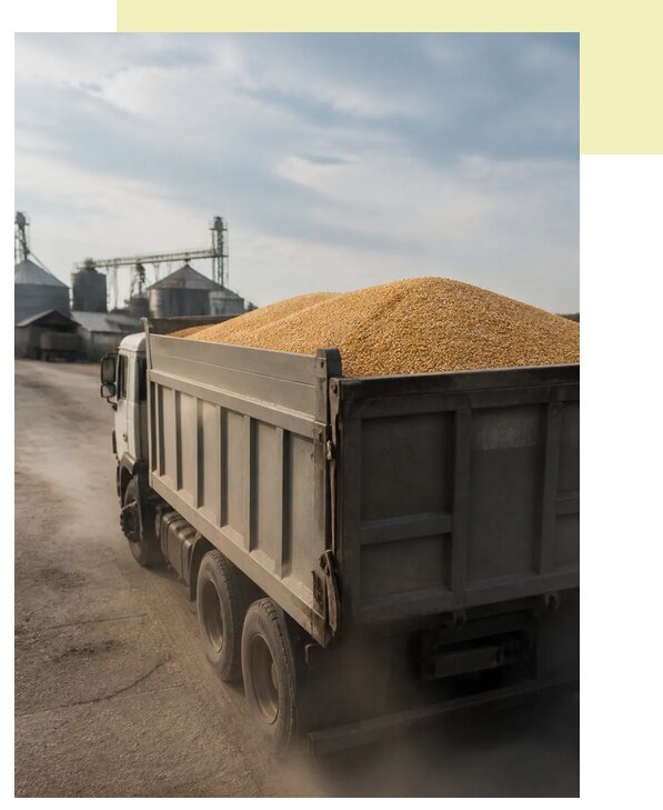 Перевозка сельхозпродукции навалом в Кумертау по цене от 3063 р. | Агросервис-Кра