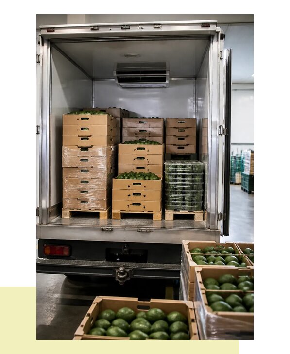 Перевозка авокадо в Кумертау с соблюдением температурного режима